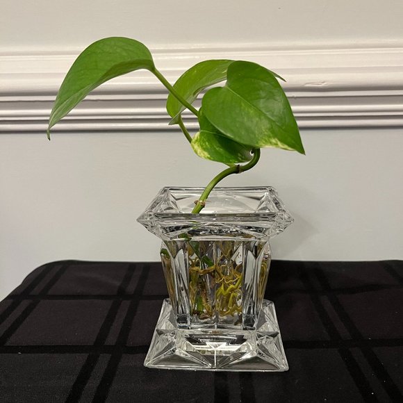 Waterford Other Marquis By Waterford Crystal Square Candle Holder